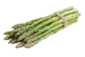 Freshly harvested asparagus tied with twine for culinary preparation in a kitchen setting png