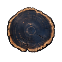 Tree ring cross section isolated on a transparent background png