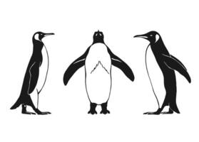 Set of penguin. Hand drawn illustration on white background vector