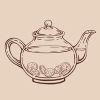 Teapot of tea with ginger. Hand drawn illustration in outline style. vector