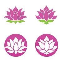 Four pink lotus flowers in different shapes and sizes vector