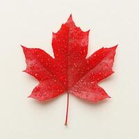 bright red autumn leaf with dewdrops glistening beautifully photo