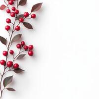 small red berry bush twig rich in color on white background photo