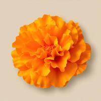 Bright orange marigold bloom with layered petals and texture photo