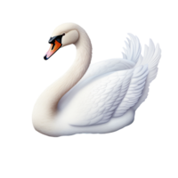 Beautiful White Swan with Sleek Feathers and Orange Beak png