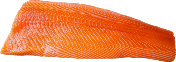 fresh raw salmon fillet with vibrant orange color and detailed texture on isolated background png