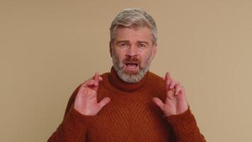Stylish man in sweater shouting, raising fists in gesture I did it, celebrating success, winning video