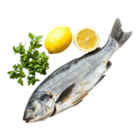 Fresh Fish with Lemon and Parsley for Culinary Delights on Transparent Background png