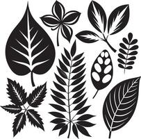 Elegant Leaf Patterns vector