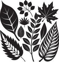Elegant and Minimal Botanical Patterns vector