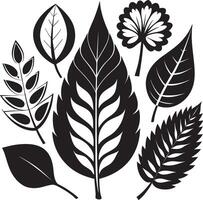Dynamic Black Nature Pattern Pack vector