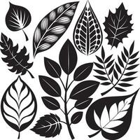 Black Leaf Pattern Pack vector