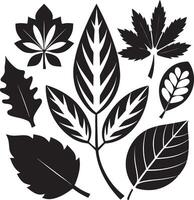 Classic Black Leaf Pattern Set vector