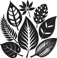Sophisticated Black Botanical Designs vector