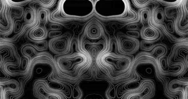 Abstract Monochrome Topographic Pattern With Fluid Organic Shapes and Lines. fluid organic shapes and swirling lines, creating a visually captivating design. The contrast between light and dark video