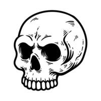 scary angry detailed skull isolated drawing line art style sketch classic vintage design illustration vector