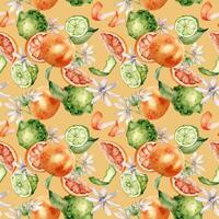 Mixed citrus fruits with white flowers watercolor seamless pattern isolated on orange. Hand drawn grapefruit, bergamot with bright orange green peel in botanical sketch style for package, print. vector