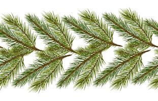Pine tree branches repeating on seamless border isolated on white. Botanical coniferous tree by watercolor hand drawn on endless background. Christmas design for fabric, wallpapers, and package vector