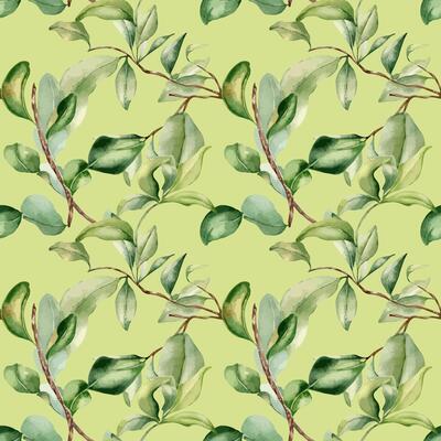Leaves on branch fruit tree watercolor seamless pattern isolated on neutral. Foliage of citrus tree hand drawn. Bergamot , grapefruit plants in botanical sketch style. Assorted green leaf for print.