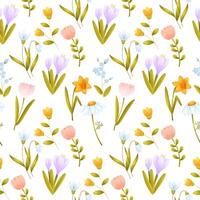 A seamless pattern of spring flowers. Tulip, daffodil, crocus, daisy. illustration vector