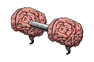 colored illustration of a brain like a barbell vector
