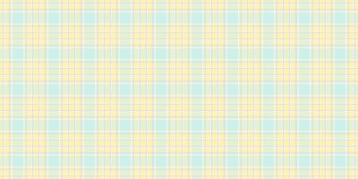 Primary textile texture , decoration fabric pattern check. Elementary tartan background plaid seamless in light and white colors. vector