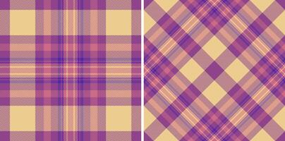 Texture plaid textile of background pattern fabric with a check tartan seamless . Set in rainbow colors for modern rug designs and other home decor. vector