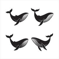 Black Whale Silhouettes on White Background vector