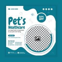 Cat care training services web banner design vector