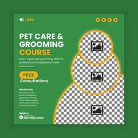 Pet grooming and free consultations social media post design template and web post vector