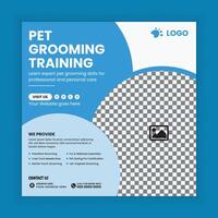 Pet grooming training center social media post design template and web post vector