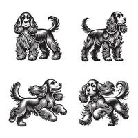 Cocker Spaniel Running Dog Standing Bundle Black and White Svg vector