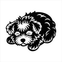 Bichon Frise Deep sleeping dog Design vector