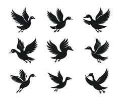 Set of flying duck silhouettes in artistic designs vector