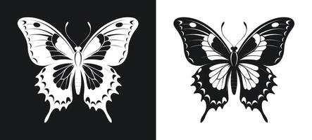 Pipevine Swallowtail Butterfly Resting on a Flower vector