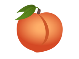 Fleshy, pinkish orange fruit of fuzzy peach icon with green leaves and stem png