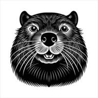 Beaver tail close up. vector