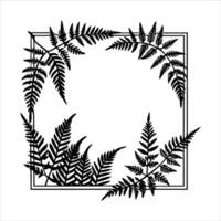 Fern Border Images Browse vector