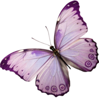 A beautiful purple butterfly showcasing intricate wing patterns, on a transparent background, symbolizing elegance and transformation png