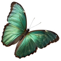 Close-up of a vibrant green butterfly with shimmering wings, detailed texture, isolated on a transparent background, concept of nature's beauty png