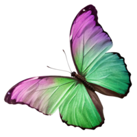 A colorful butterfly with vivid green and purple wings in a detailed, realistic style, isolated on a transparent background, symbolizing nature png