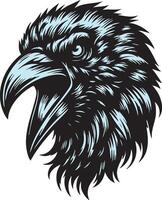 Crow in Attack Mode with a Menacing Gaze vector