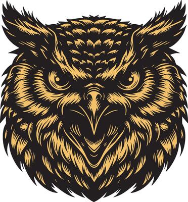 Powerful Owl Head in Aggressive Mode