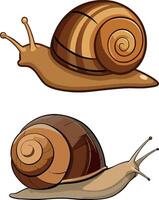 Two snails sliding on white background vector