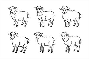 Sheep Illustrations for Coloring Books vector