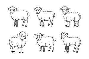 Sheep Illustrations for Coloring Books set design vector
