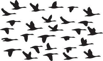 A flock of birds flying in the air vector