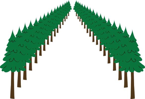 A line of trees with a white background