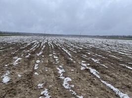 Pristine snow resting on a village field photo
