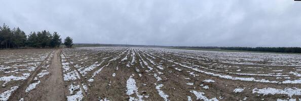 Pristine snow resting on a village field photo